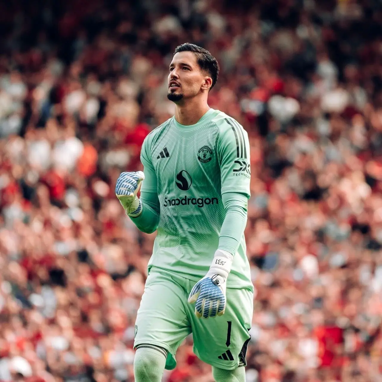 玛德, msn, 阿玛德请事