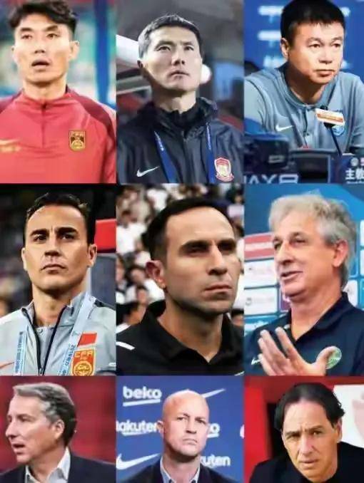 ll, 优质外籍教, 斯坦一事